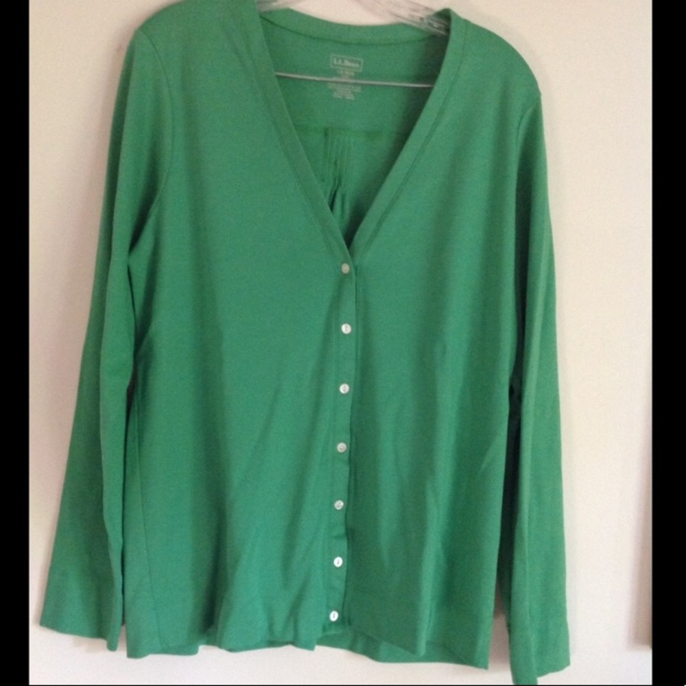 LL Bean long sleeve sweater
